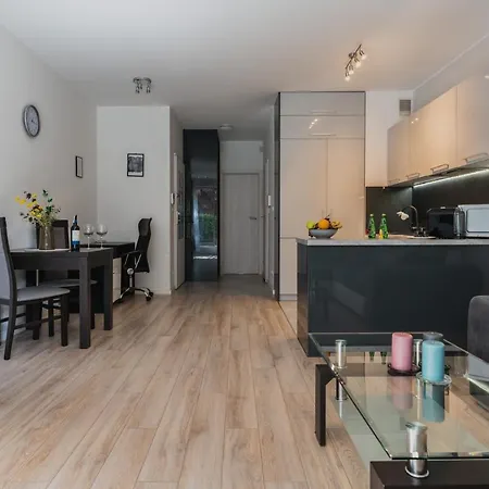 Apartwro - Przestronny Apartament Z Tarasem 5 Min Od Rynku Garaz Projektor * Вроцлав